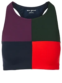 Blocked Mesh Back Sports Bra