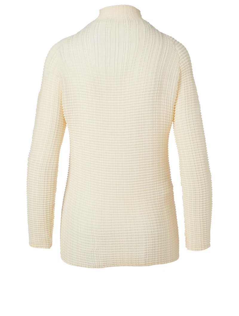 Pleats Turtleneck Top