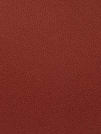 Medium Darryl Leather Hobo Bag