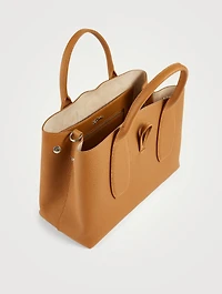 Medium Roseau Leather Top Handle Bag