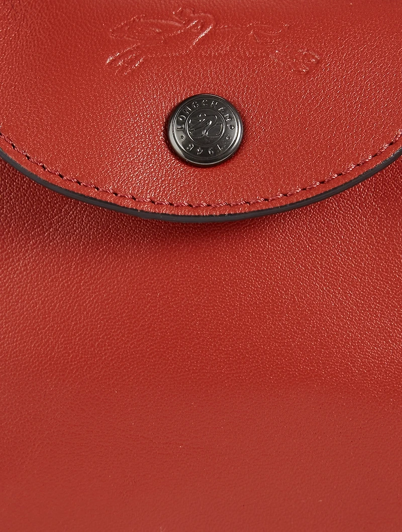 Le Pliage Leather Top Handle Bag