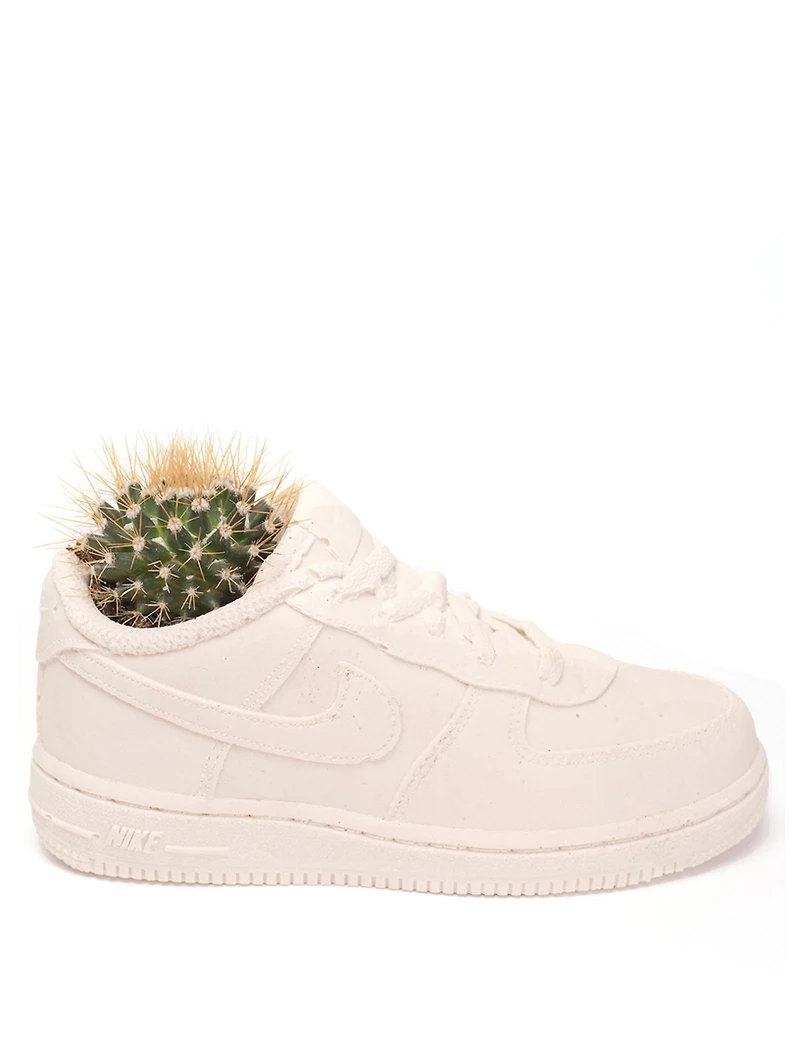 Nike Air Force 1 Planter