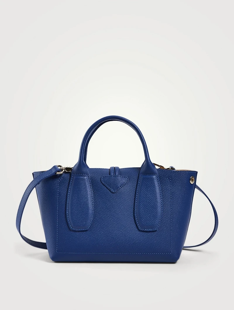 Small Roseau Leather Top Handle Bag