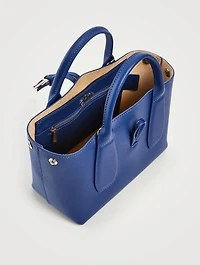 Small Roseau Leather Top Handle Bag