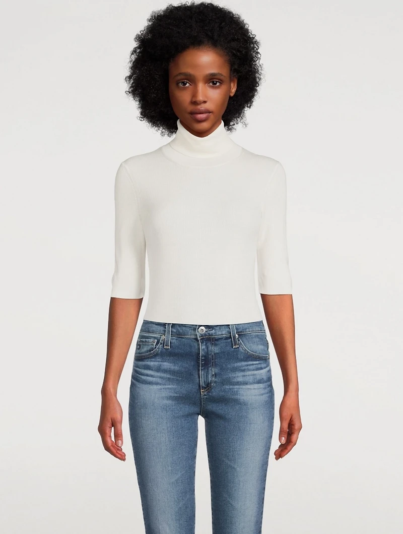 Leenda Short-Sleeve Wool Turtleneck Sweater