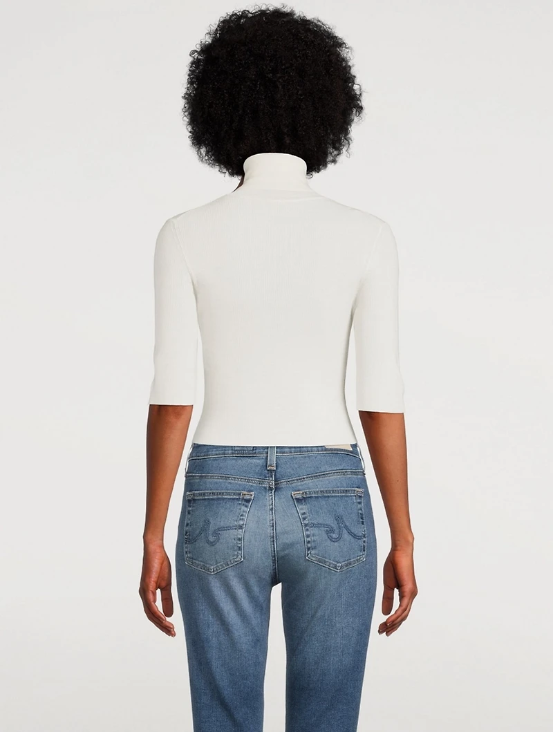 Leenda Short-Sleeve Wool Turtleneck Sweater