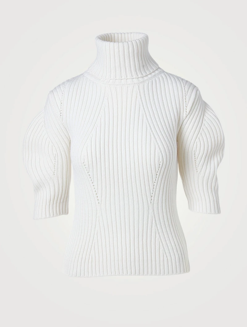 Wool And Cashmere Turtleneck Sweater