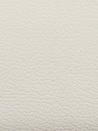 Nano Antigona Leather Crossbody Bag