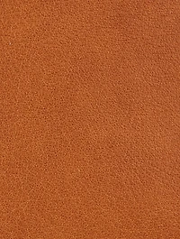 Small Kiss Leather Bag