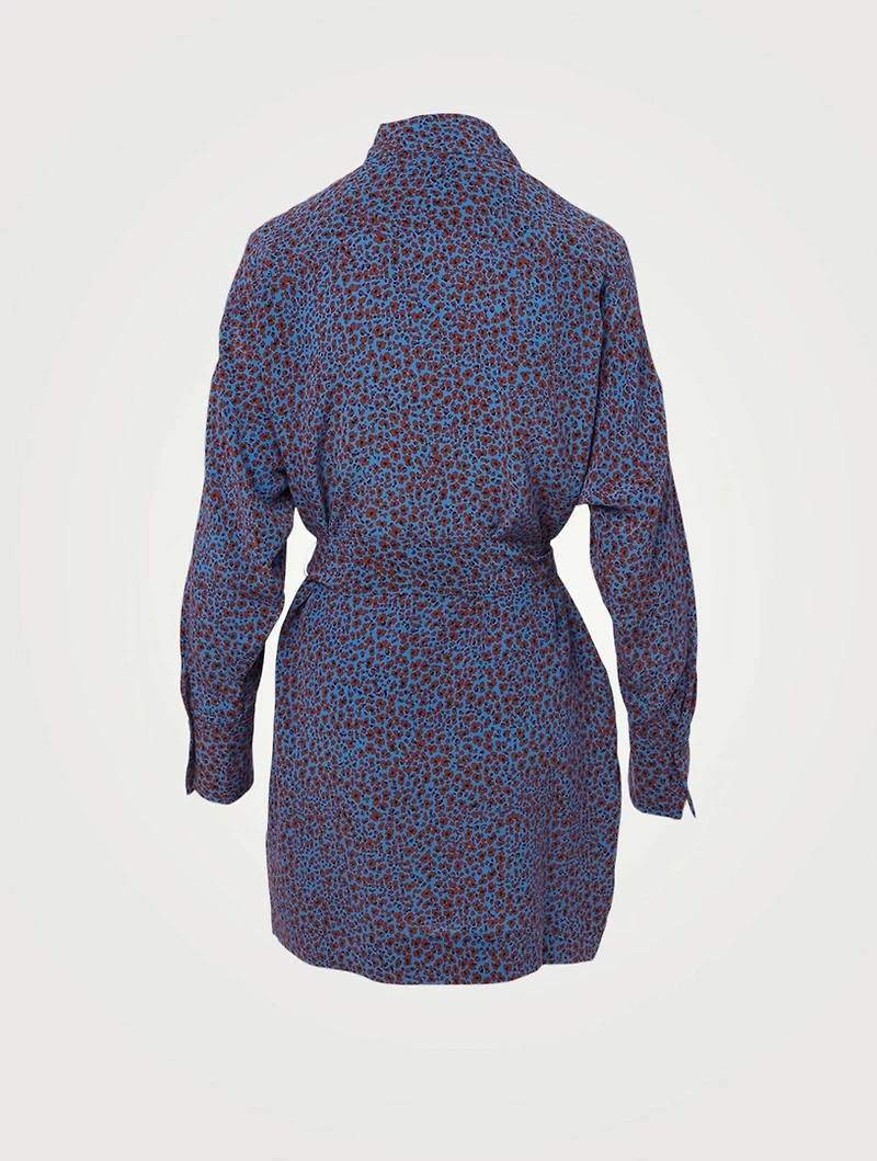 Sennet Silk Printed Mini Dress
