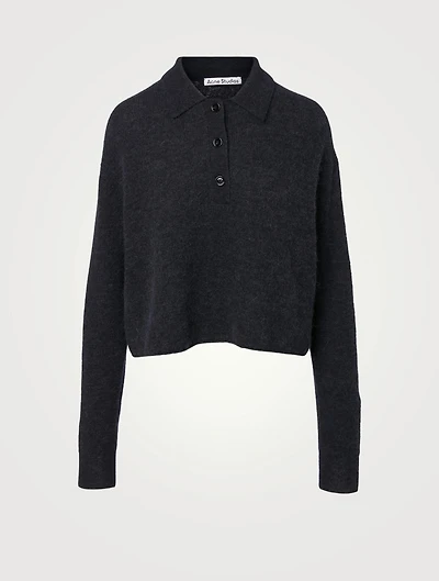 Alpaca And Wool Polo Sweater