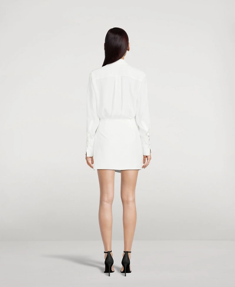 Naha Silk Long-Sleeve Mini Dress