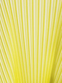 Alt Sunlight Sleeveless Midi Dress