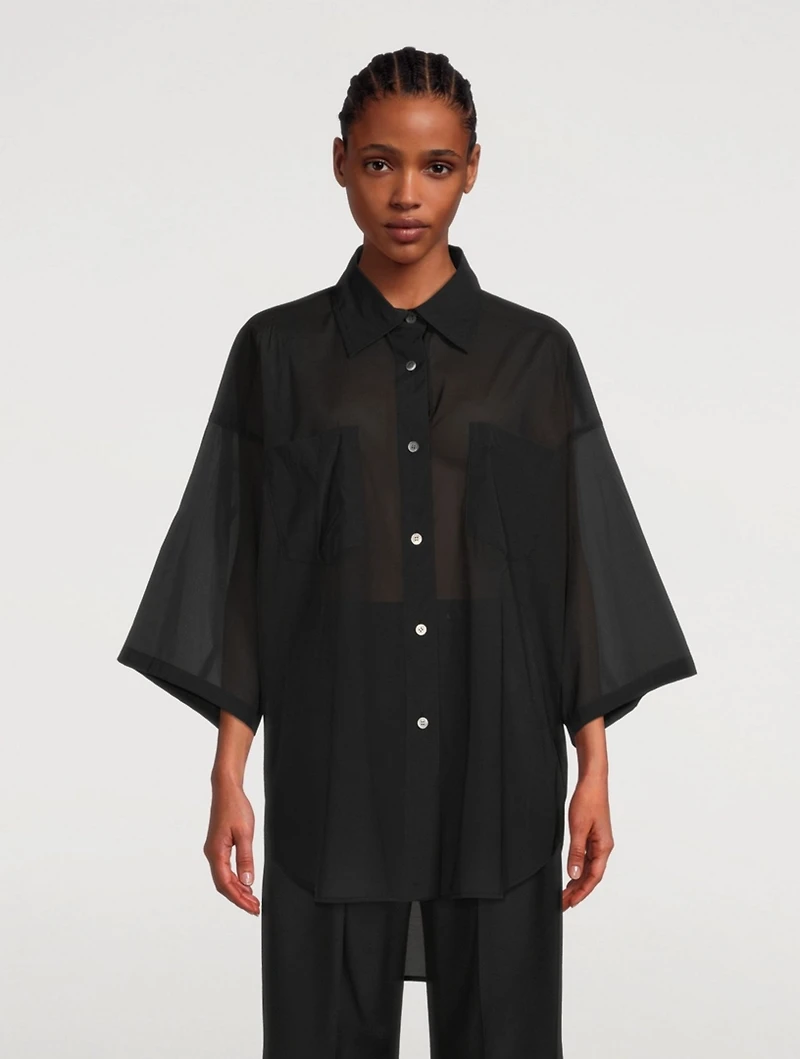 Sheer Stretch Top