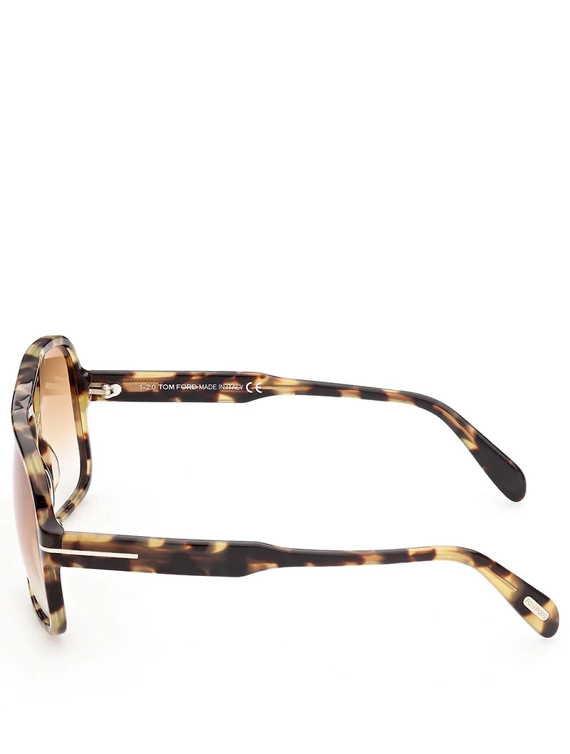 Falconer Aviator Sunglasses