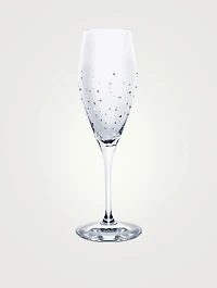 Champagne Glasses Set Of 2
