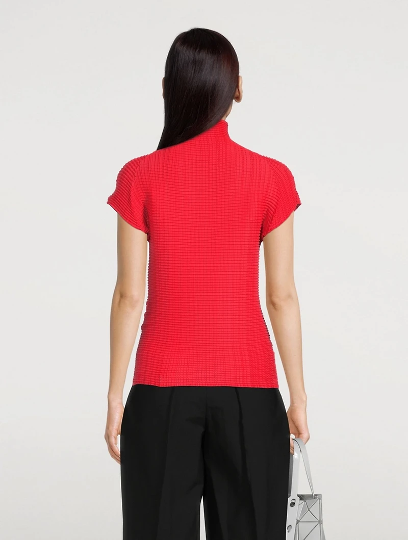 Wooly Pleats Top