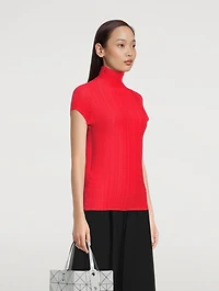 Wooly Pleats Top
