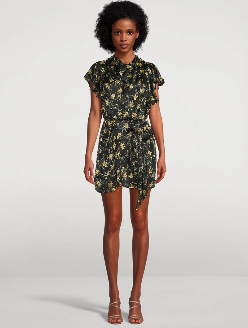 Emmanuelle Printed Chiffon Mini Dress