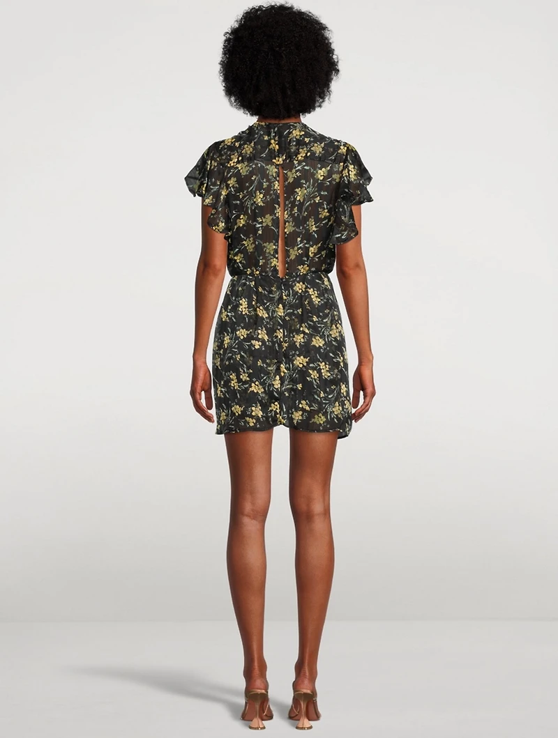 Emmanuelle Printed Chiffon Mini Dress