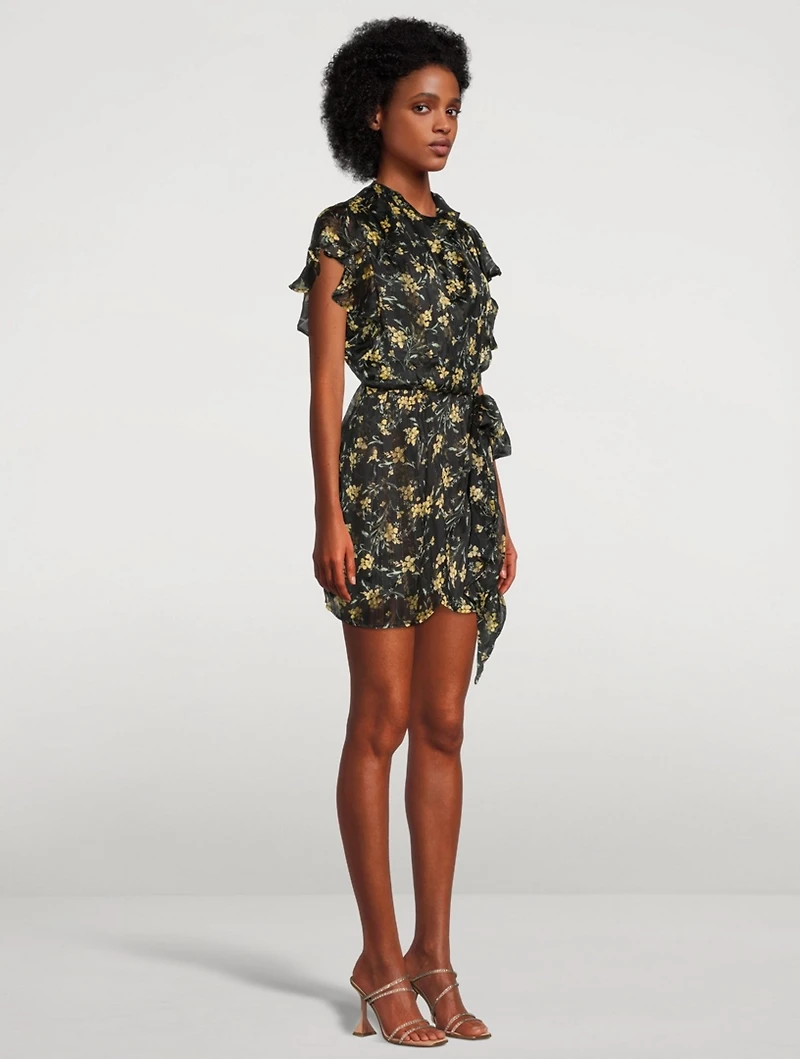 Emmanuelle Printed Chiffon Mini Dress