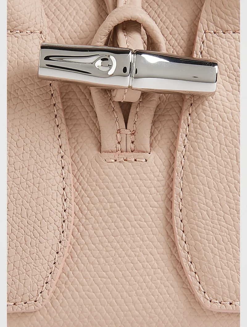 XS Roseau Leather Top Handle Bag