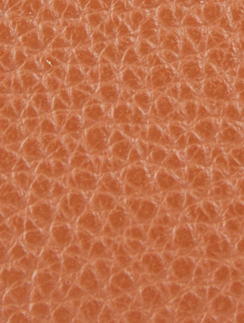 Small Le Foulonné Leather Crossbody Bag