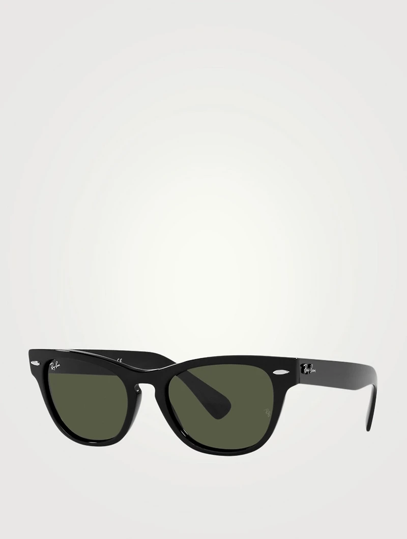 RB2201 Laramie Square Sunglasses