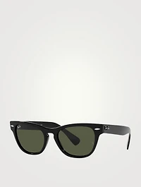 RB2201 Laramie Square Sunglasses