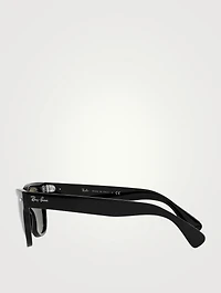 RB2201 Laramie Square Sunglasses