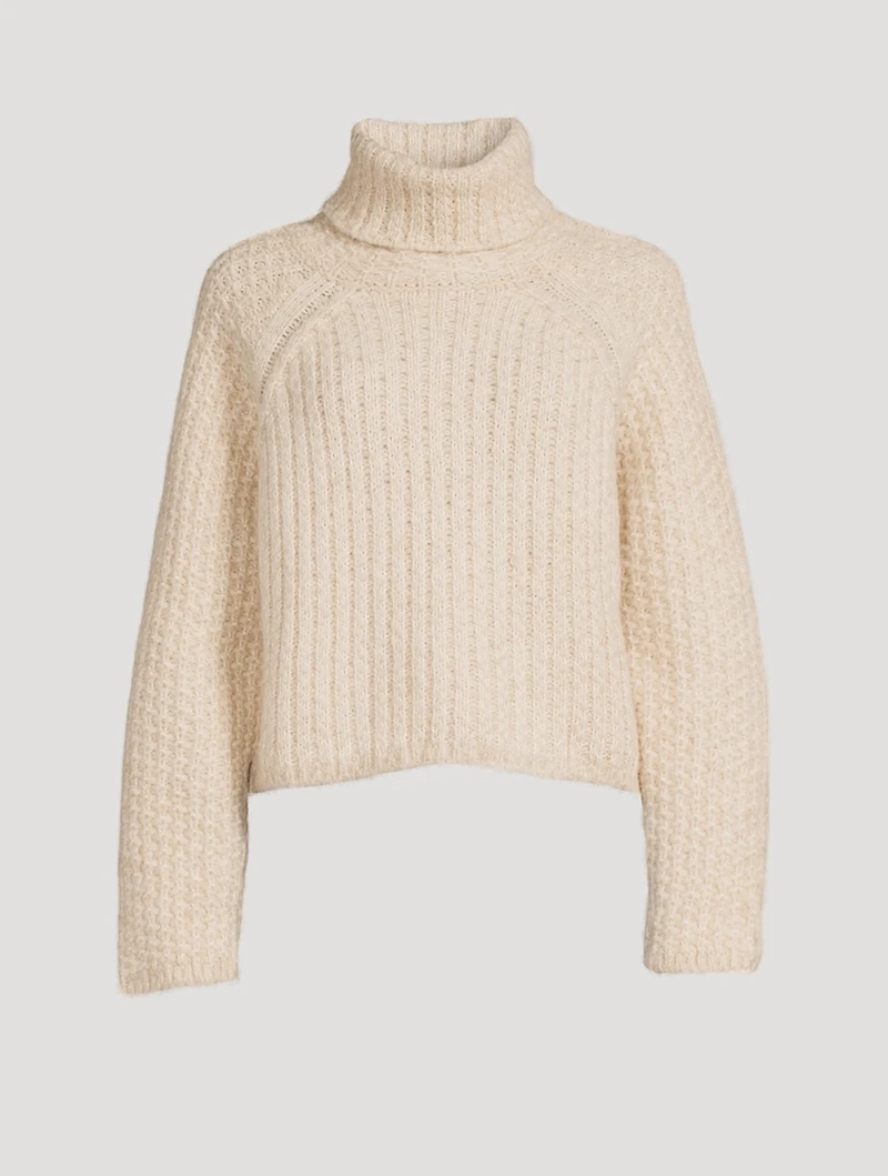 Foy Turtleneck Sweater
