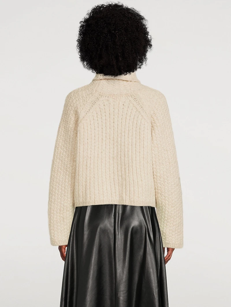 Foy Turtleneck Sweater