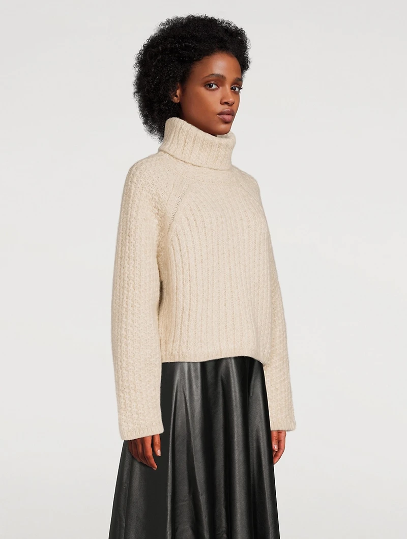 Foy Turtleneck Sweater