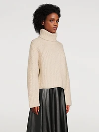 Foy Turtleneck Sweater
