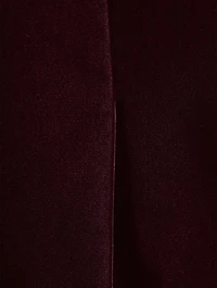 Velvet Blazer