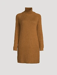 Turtleneck Sweater Dress