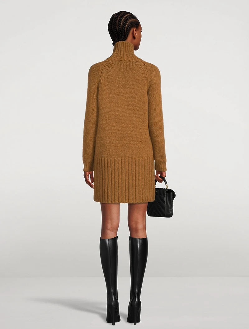 Turtleneck Sweater Dress