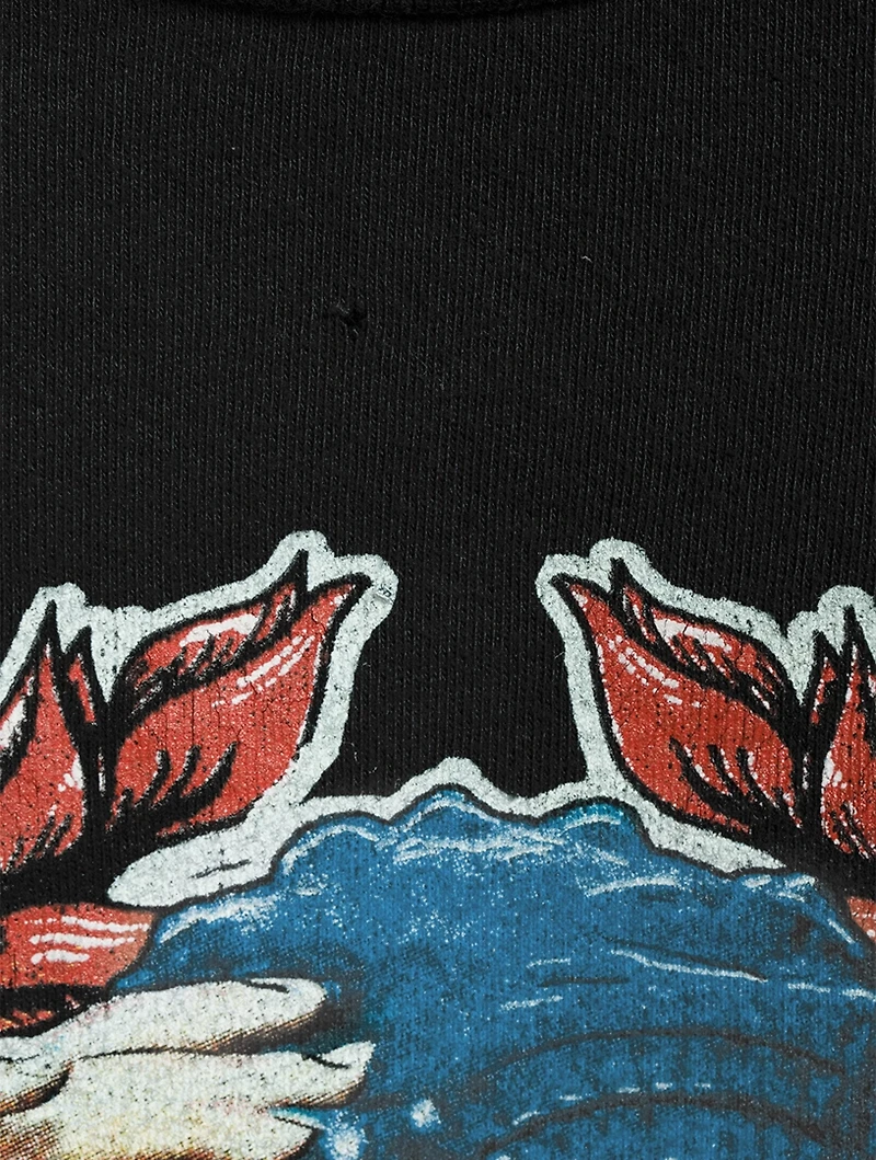 Stevie Nicks Graphic T-Shirt