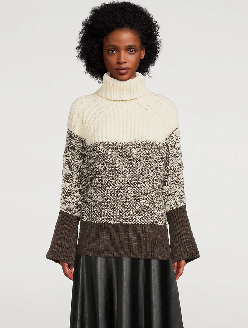 Colourblock Wool Turtleneck Sweater