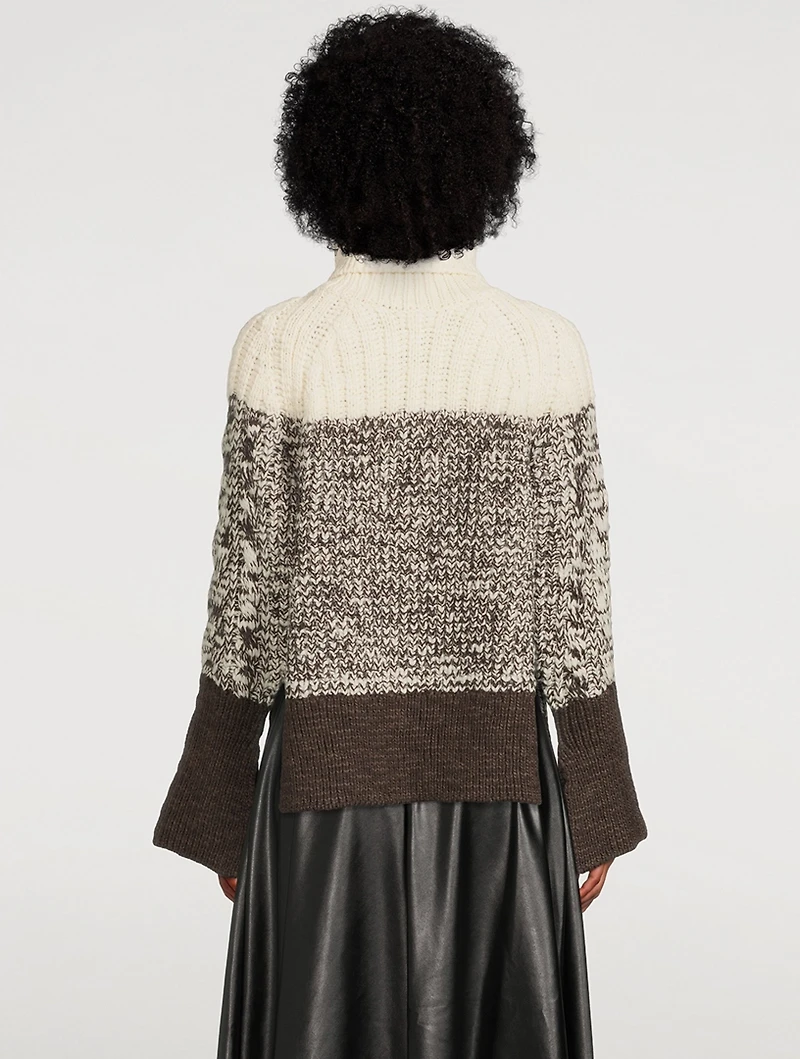 Colourblock Wool Turtleneck Sweater