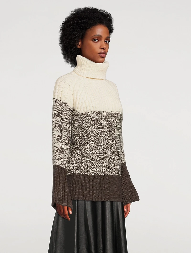 Colourblock Wool Turtleneck Sweater