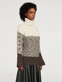 Colourblock Wool Turtleneck Sweater
