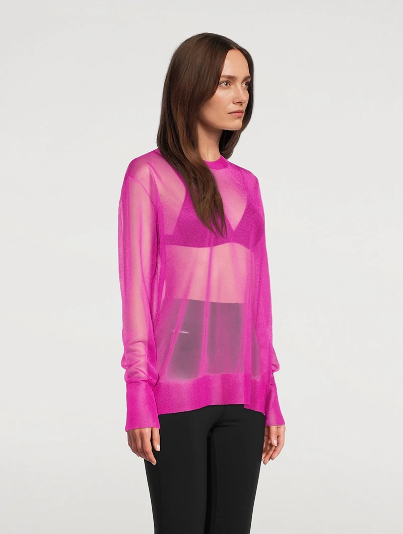 Sheer Crewneck Sweater