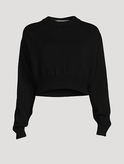 Illusion Tulle Cropped Sweater
