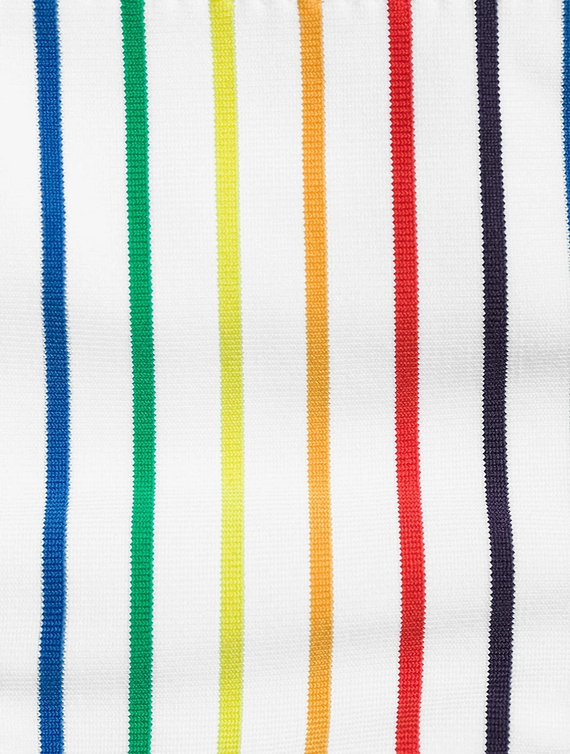The Eva Bikini Bottom Striped Print