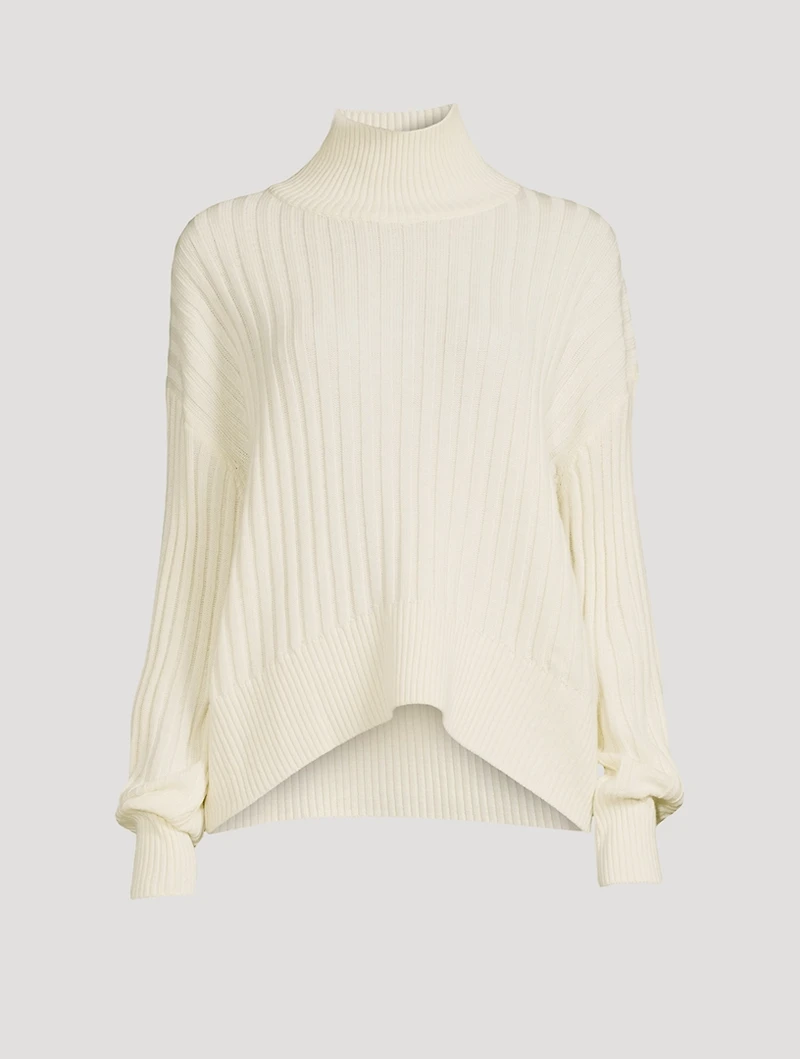 Wool Ribbed Turtleneck Sweater