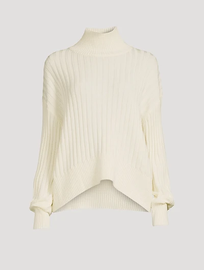 Wool Ribbed Turtleneck Sweater