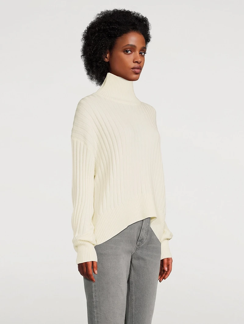 Wool Ribbed Turtleneck Sweater