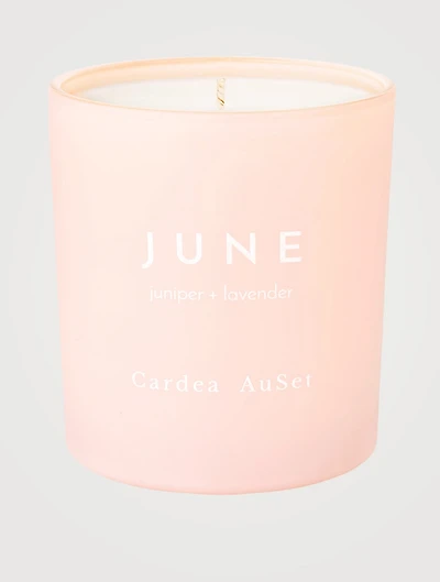 June Juniper & Lavender Candle