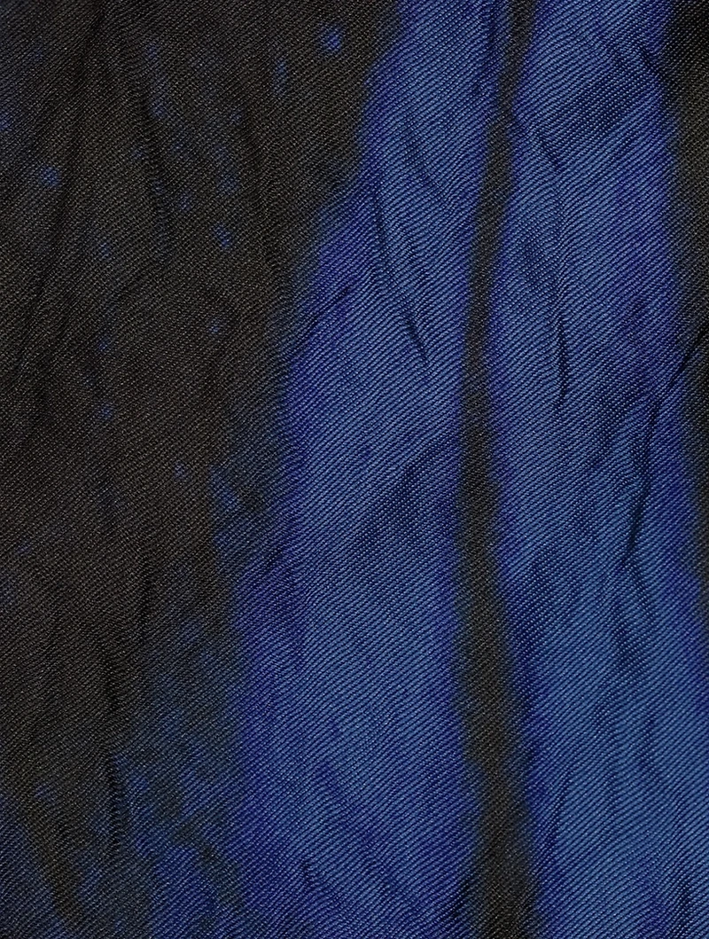 Vina Crinkled Metallic Track Jacket